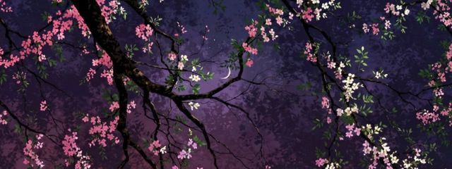 ぽんず。さんの壁紙画像
