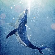 猫好きだけど猫アレルギーの🍏（1号機）さんのアイコン画像