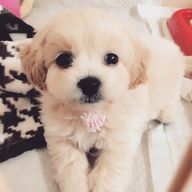 みかんゼリー🍊さんのアイコン画像