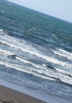 あいらぶおふとんとすいみんとおしと…（愚痴部屋）