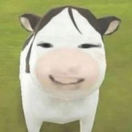 Saqraさんのアイコン画像