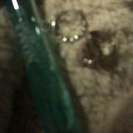 聖那さんのアイコン画像