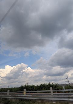 だめだめ日記
