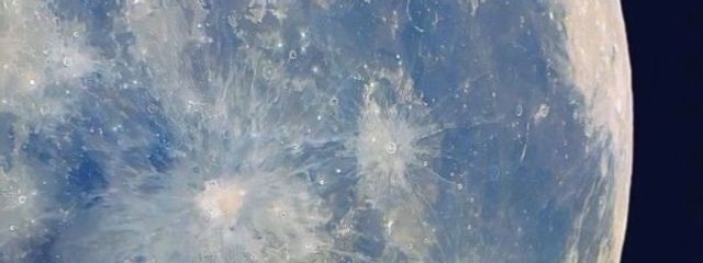 勿忘草さんの壁紙画像