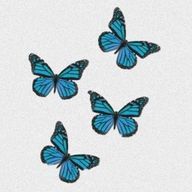 音絃さんのアイコン画像