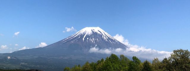 ぶどうさんの壁紙画像