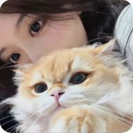 ♡・.°〜ふうな〜・.°♡さんのアイコン画像