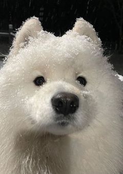 　# 友 募 ✮*｡ﾟ