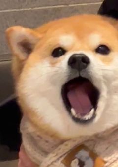 🍧 とーくるーむ