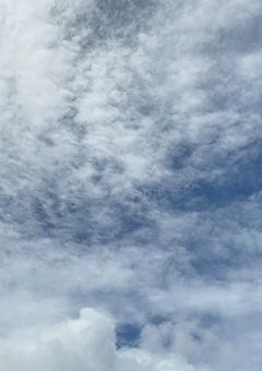 ペア画がしたい.ᐟ.ᐟ