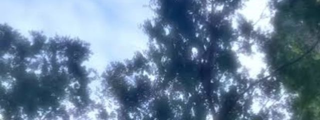 淡彩 .さんの壁紙画像