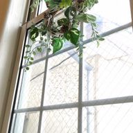 waka💕さんのアイコン画像