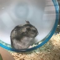 ナナシさんのアイコン画像