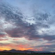 琵琶〖びわ〗さんのアイコン画像