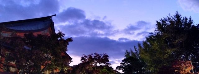 Noelさんの壁紙画像