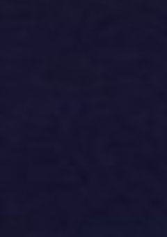 njsj  ⌇  好感度可視化バグり散らかしてます