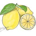 れもんぱーかー