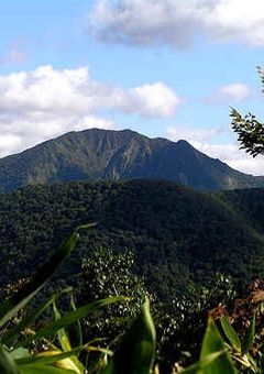 美しき“平和”を求めて(単発)