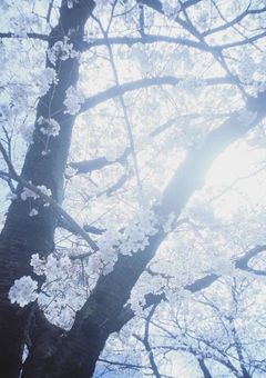 If you want a future.