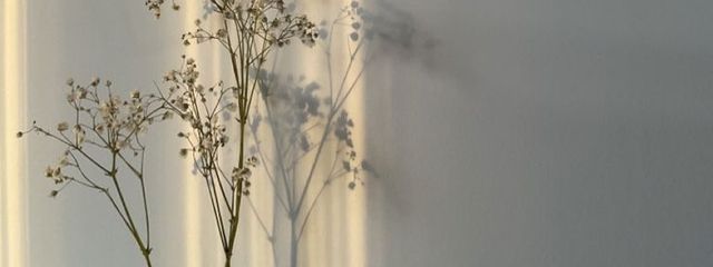 KICOさんの壁紙画像
