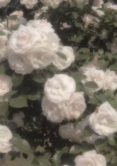 なんにでもなれるから。