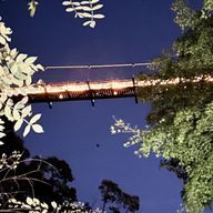 しずく🐢投稿なるかもです  絶対フォロバします！さんのアイコン画像