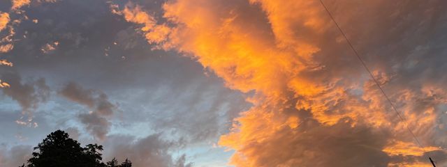 じゃーどーさんの壁紙画像