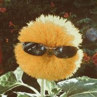 たらちゃんさんのアイコン画像