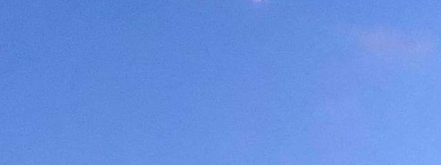 Meeさんの壁紙画像