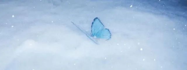 𝐇𝐚𝐑𝐮🕯さんの壁紙画像