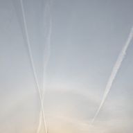 えどまめさんのアイコン画像