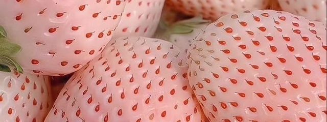 𝒮𝒽𝒾𝑜𝓇𝒾໒꒱さんの壁紙画像