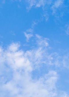 また君とあの青空を見たい