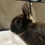 はなさんのアイコン画像