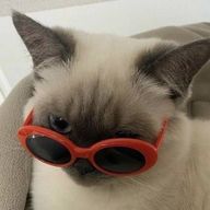 ataさんのアイコン画像