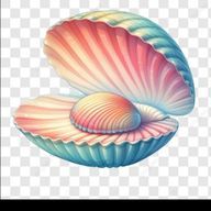 はまぐりさんのアイコン画像