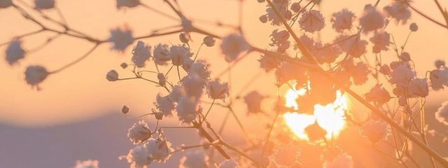 夕陽さんの壁紙画像