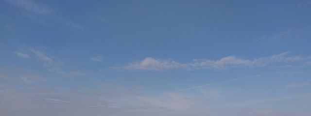 𝚈 𝚄 𝙸 さんの壁紙画像