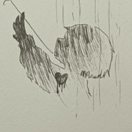 るしえるさんのアイコン画像