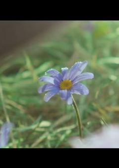 最強の同期は愛される