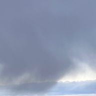 キバナコスモスさんのアイコン画像