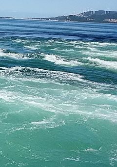 ざつだんるーむ