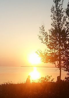 パシ横について