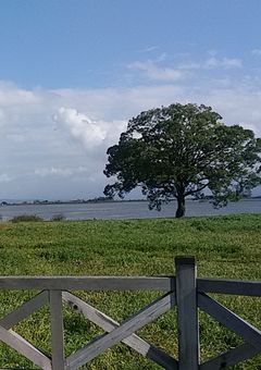 小指から繋がる幸せの赤い糸