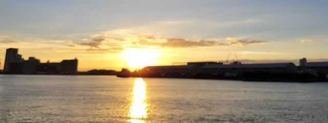 ゆいまーるさんの壁紙画像