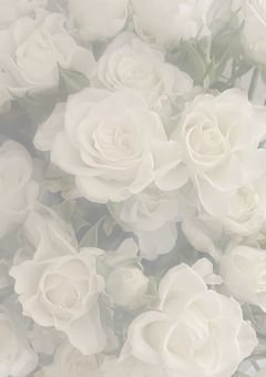 ❥ 𝙾𝙽𝙴 𝙽’ 𝙾𝙽𝙻𝚈 ❥