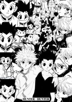 h×hオタクちゃん転生したら溺愛された件