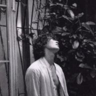 :Dさんのアイコン画像