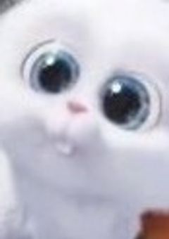 はっはっはははΣ(ﾟ□ﾟ；)