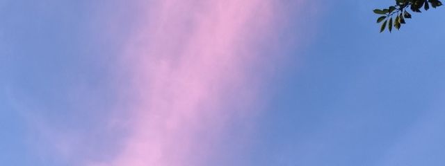 咲希/𝕊𝕒𝕜𝕚‪🫧‪🍀さんの壁紙画像